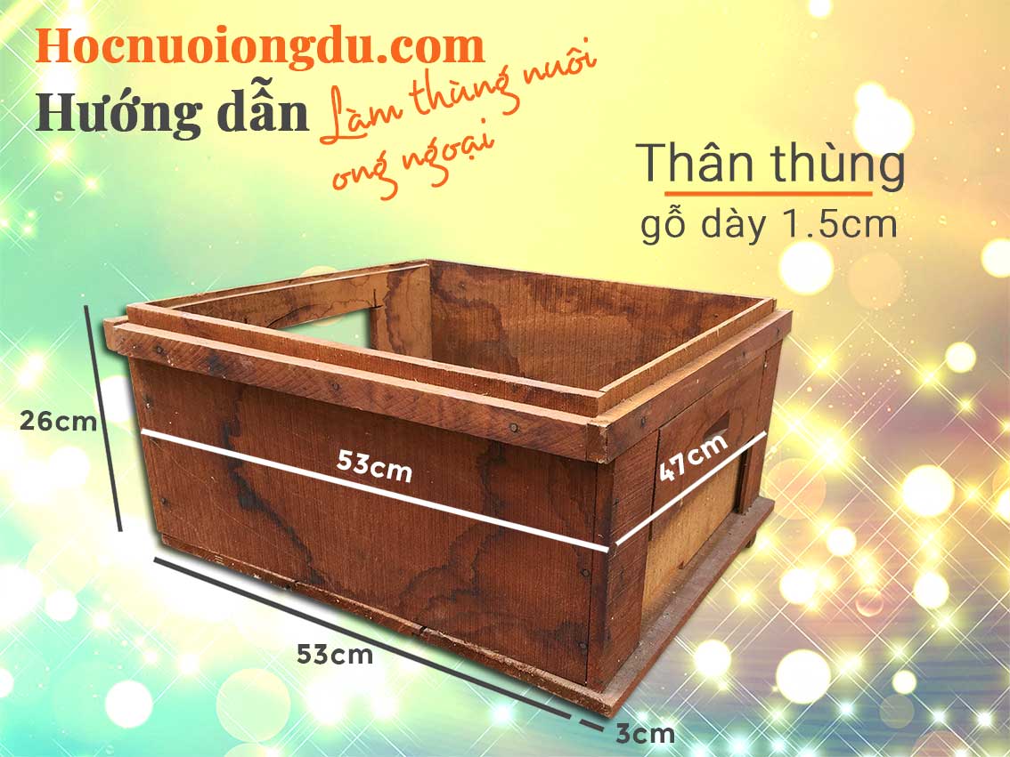 Cấu tạo thùng ong mật ngoại và cách làm thân thùng nuôi ong ý