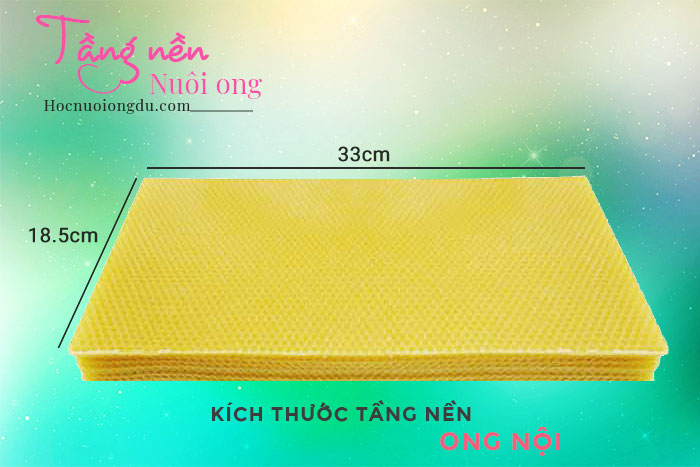 Chân tầng nuôi ong nội địa