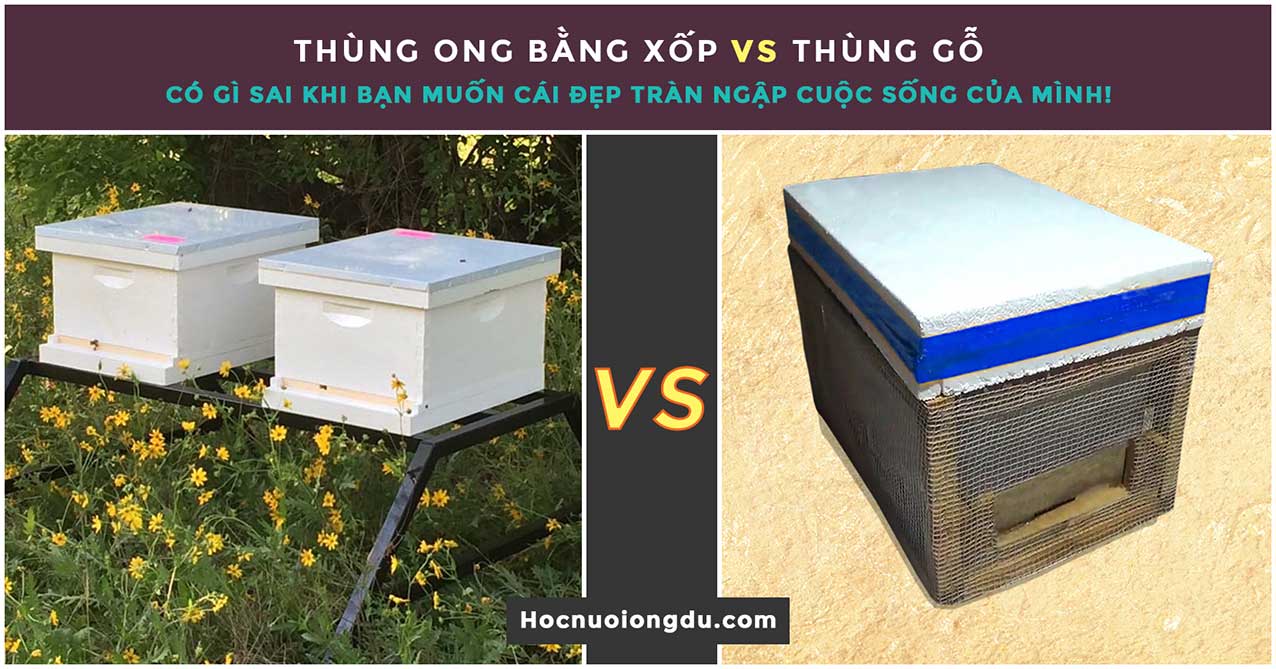 Chi phí để làm một thùng ong bằng xốp và thùng ong mini