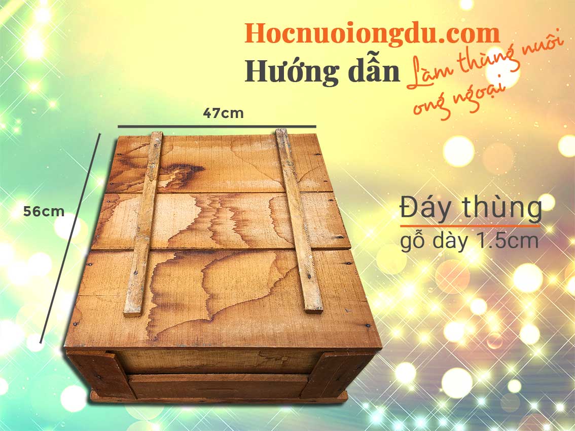 Đáy thùng nuôi ong thông minh dùng để nuôi ong ý