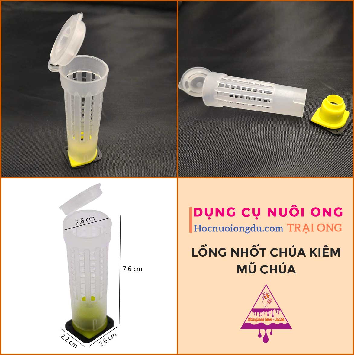 Dụng cụ nhốt ong chúa và mũ chúa