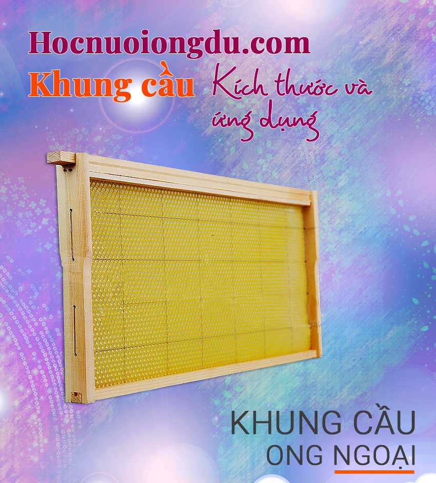 Vật tư ngành ong mật khung cầu nuôi ong ý