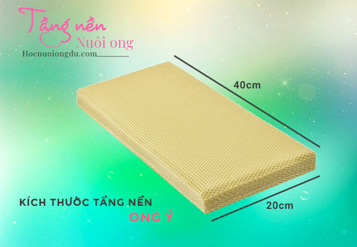 Tầng nền ong ý kích thước và chi tiết sáp nền nuôi ong