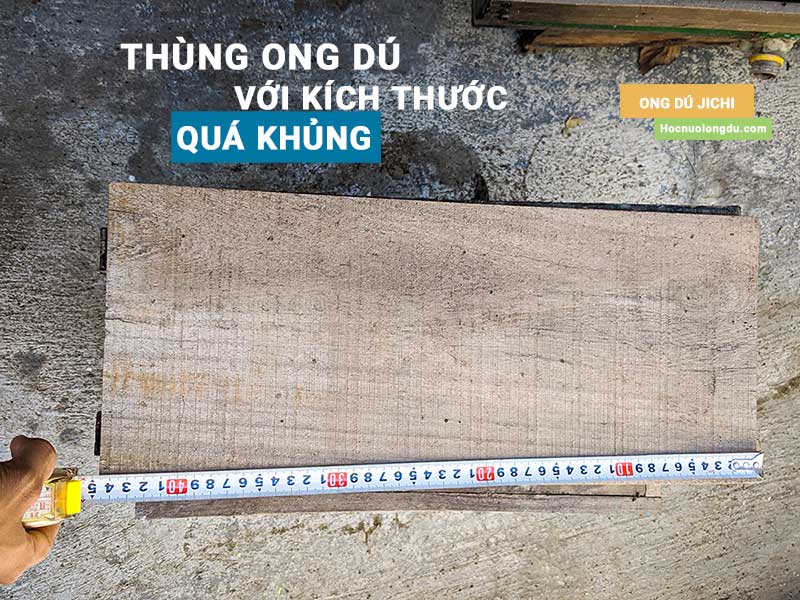 kích thước thùng ong dú truyền thống quá to