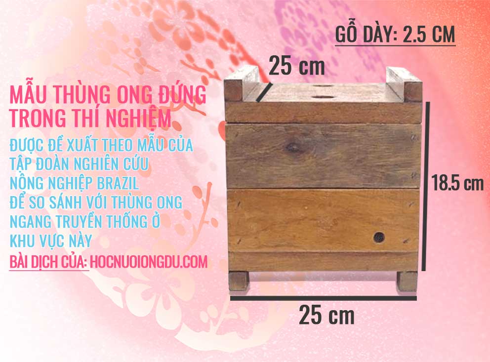 Kiểu thùng ong đứng để nuôi ong dú và kích thước thùng ong