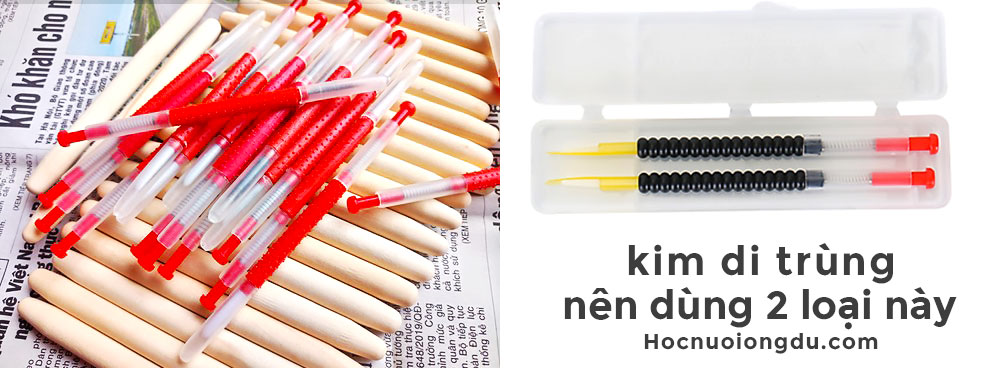 kim di trùng ong chúa, 2 loại kim di trùng tốt nhất