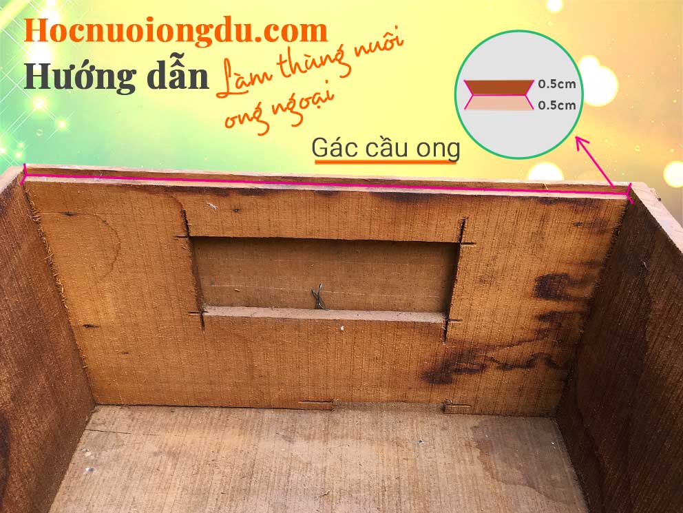Kỹ thuật đóng thùng nuôi ong ngoại châu âu làm gờ gác khung cầu ong