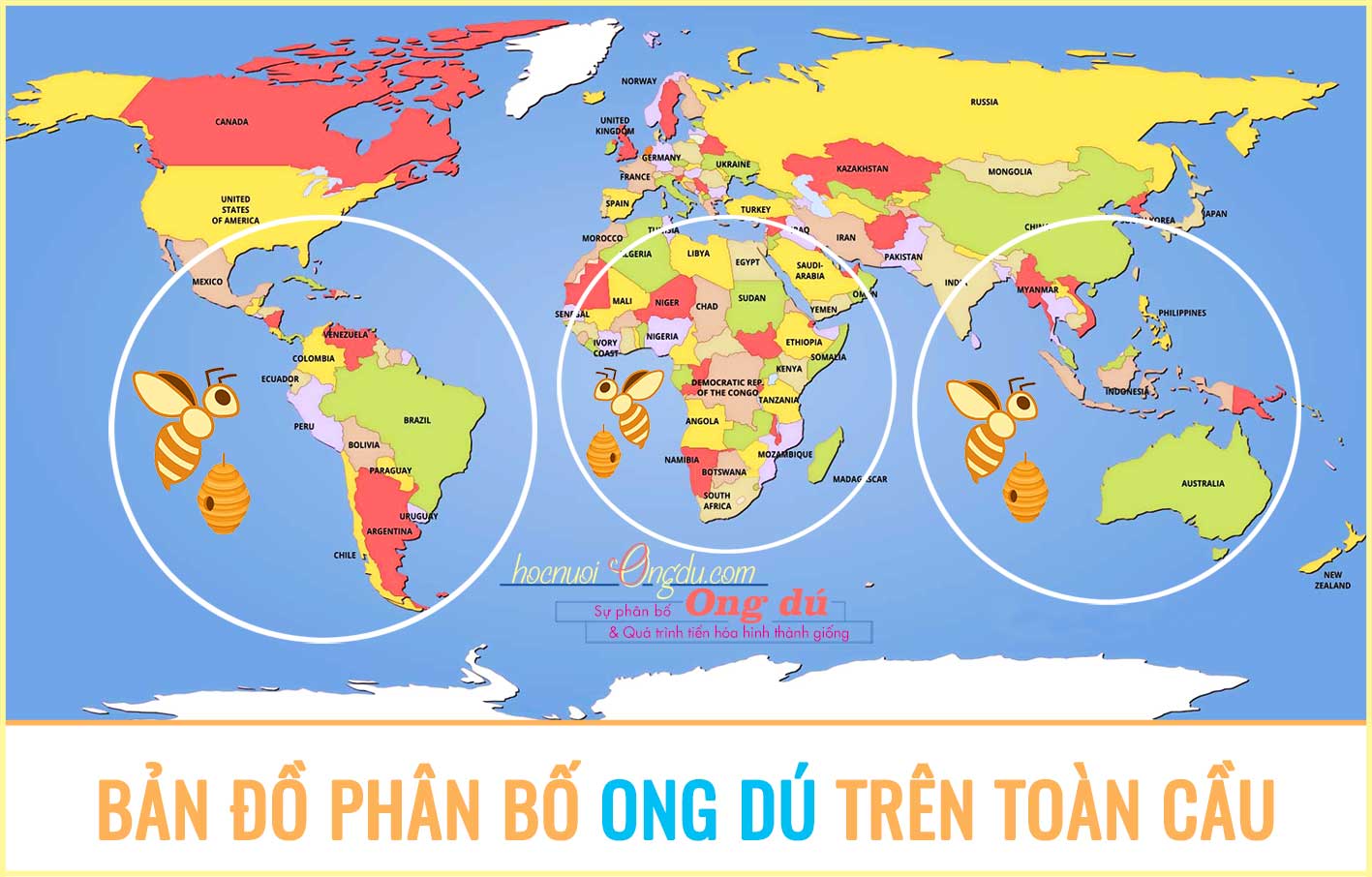 Lịch sử hình thành và phát triển của ong mật và ong dú trên thế giới