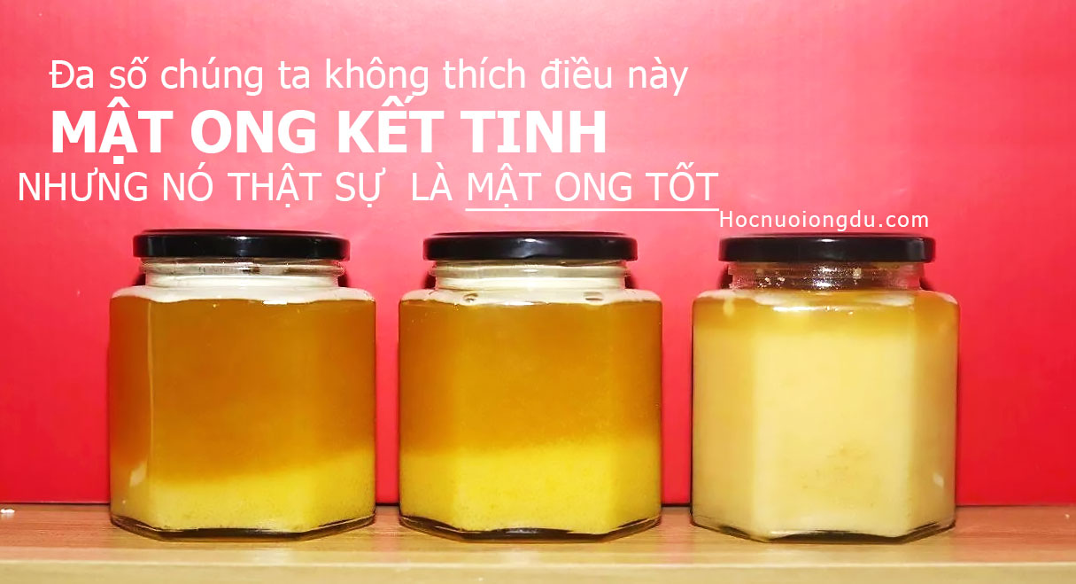 mật ong để tủ lạnh bị kết tinh