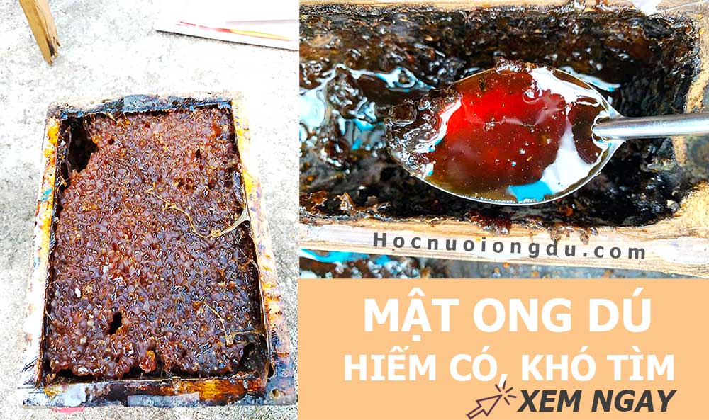 mật ong dú tốt cho sức khỏe