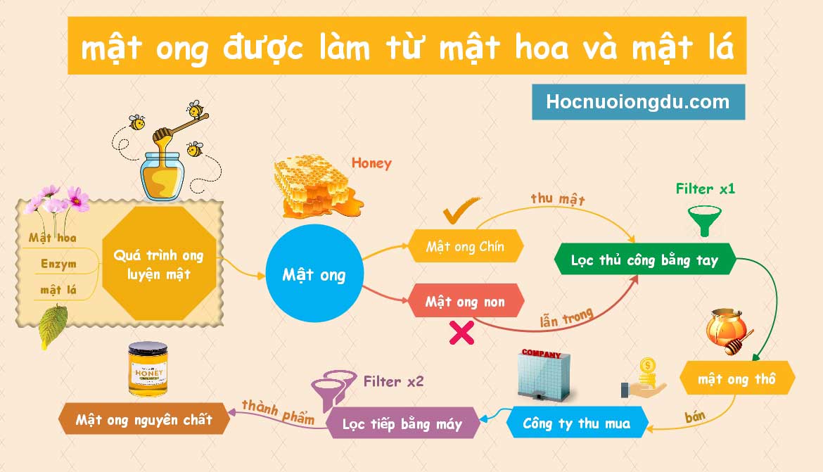 mật ong là mật được ong làm ra bằng cách luyện từ mật hoa lá mật lá