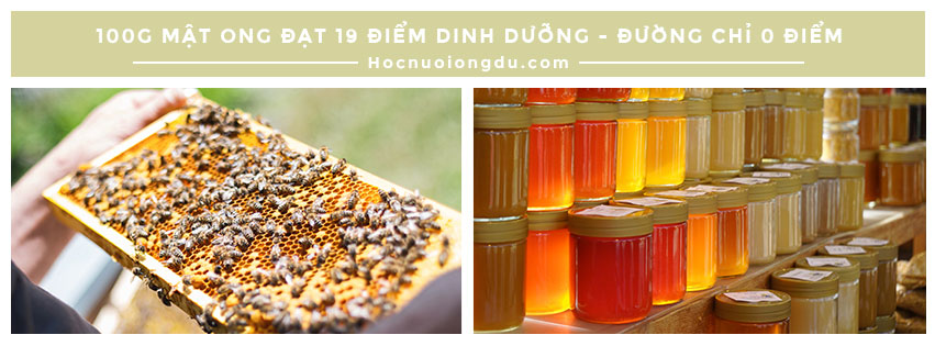 Sự khác biệt giữa mật ong và đường qua thành phần protein trong mật