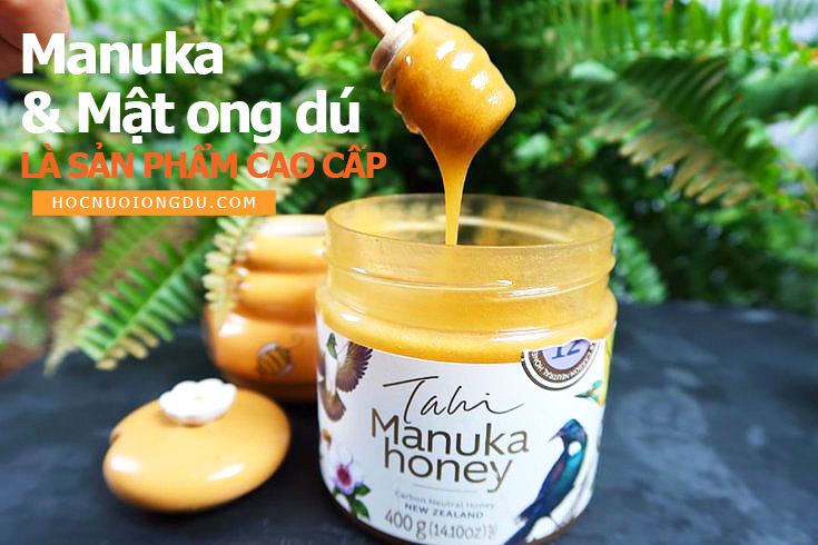 mật ong manuka và mật ong dú là sản phẩm cao cấp
