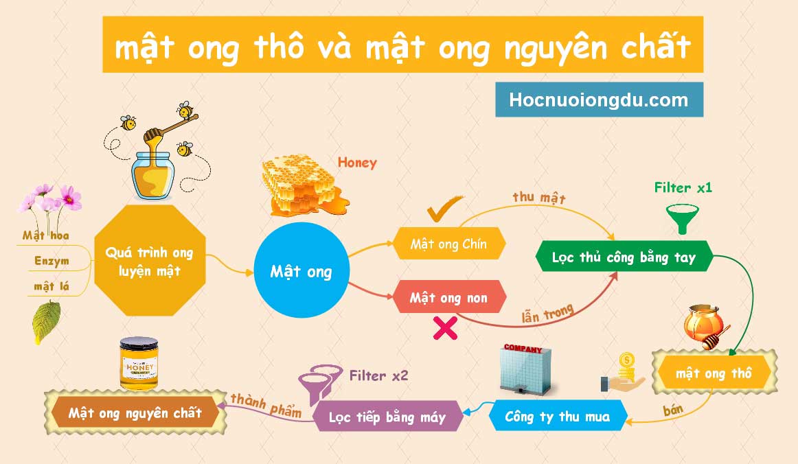 hình ảnh sự khác nhau giữa mật ong thô và mật ong nguyên chất
