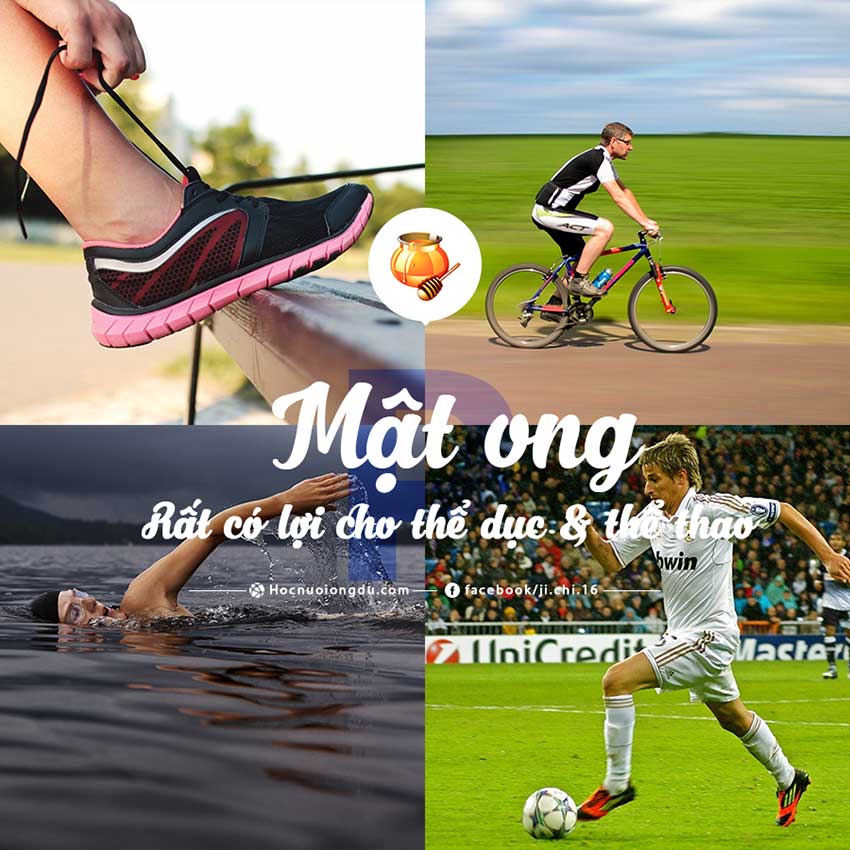 Đường trong mật ong là chất gì mà mật ong có lợi cho tập thể dục thể thao