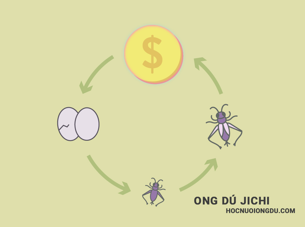 mô hình nuôi dế làm giàu