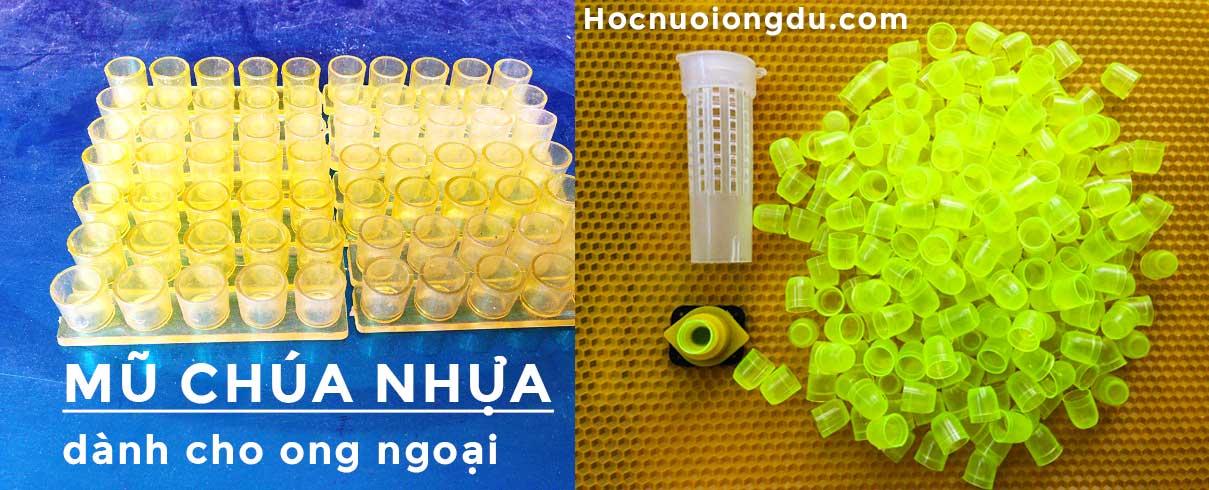 mũ ong chúa giả , nụ ong chúa nhựa