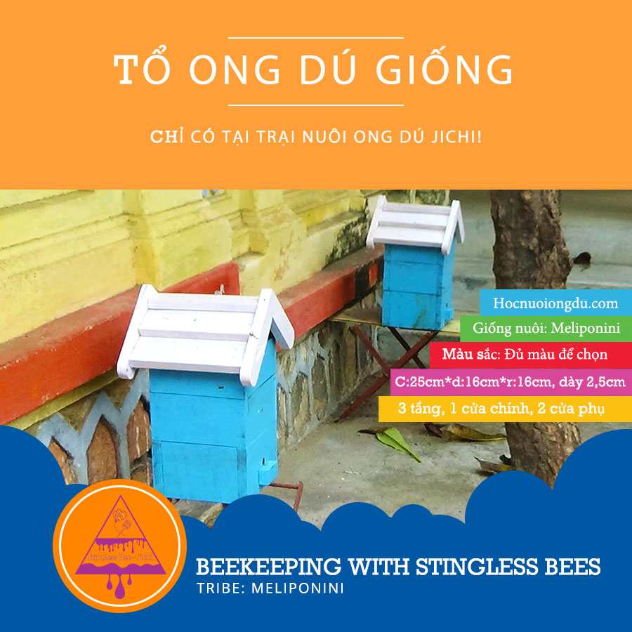 ong dú là giống ong không ngòi đốt