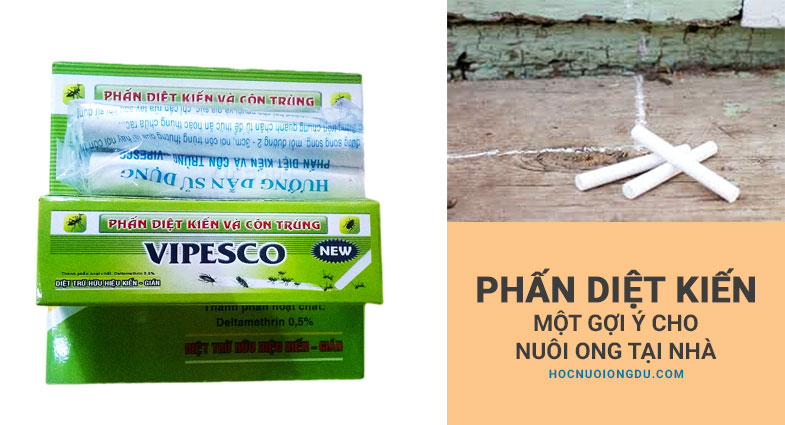 Phấn diệt kiến cho tổ ong, kỹ thuật nuôi ong mật nội địa