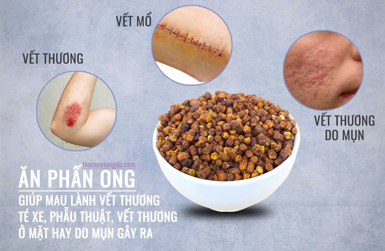 phấn hoa tươi công dụng như thuốc mau lành vết thương