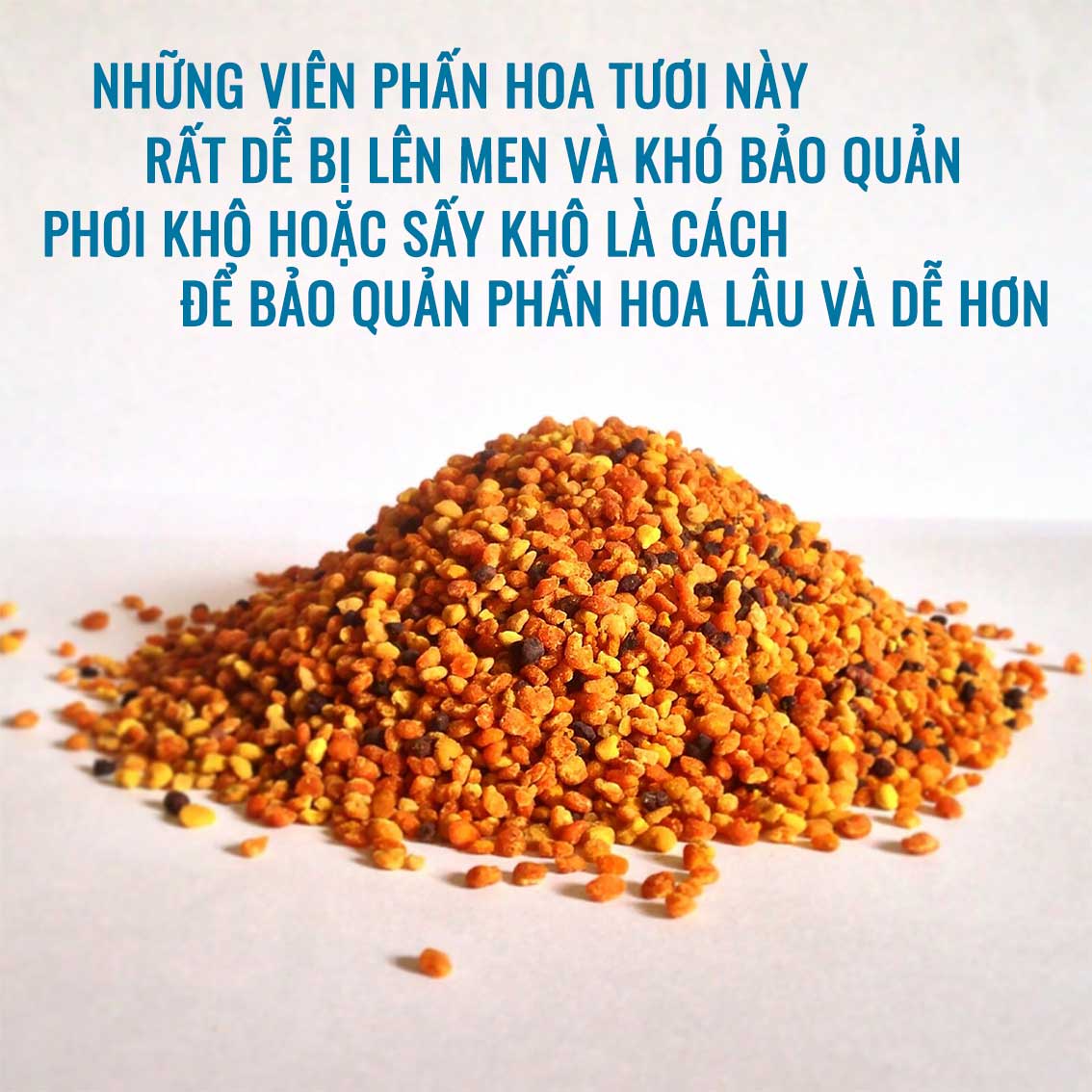 Phấn hoa tươi và cách bảo quản phấn hoa tươi