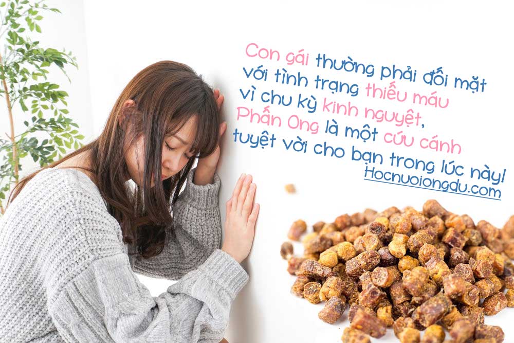 phấn ong bổ sung sắt trong kỳ kinh nguyệt giảm chóng mặt
