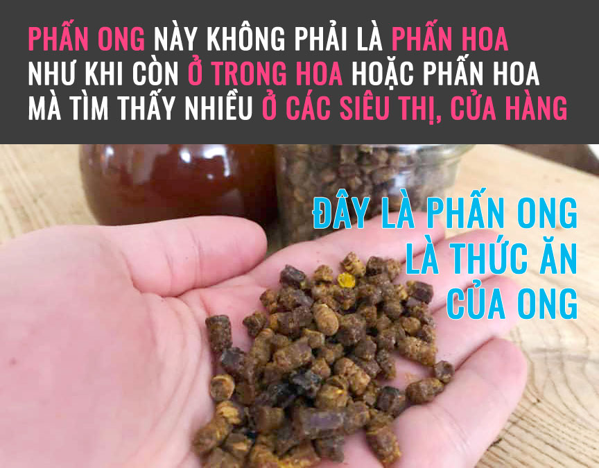 Phấn ong là gì, hình ảnh phấn hoa lên men