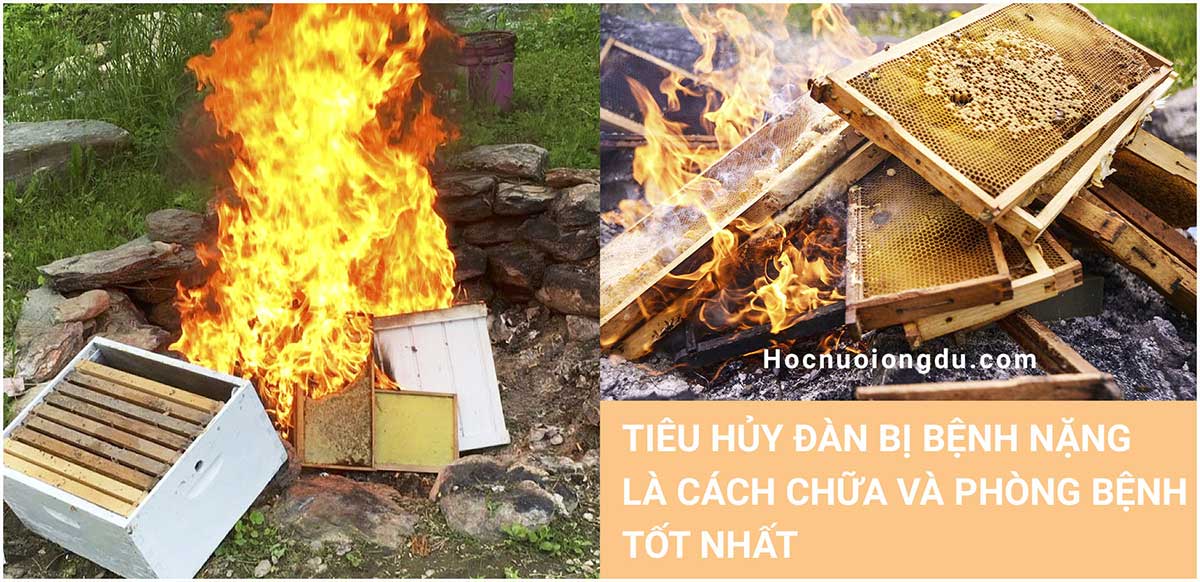 phòng bệnh thối ấu trùng ong mật, tiêu hủy thùng ong và cầu ong