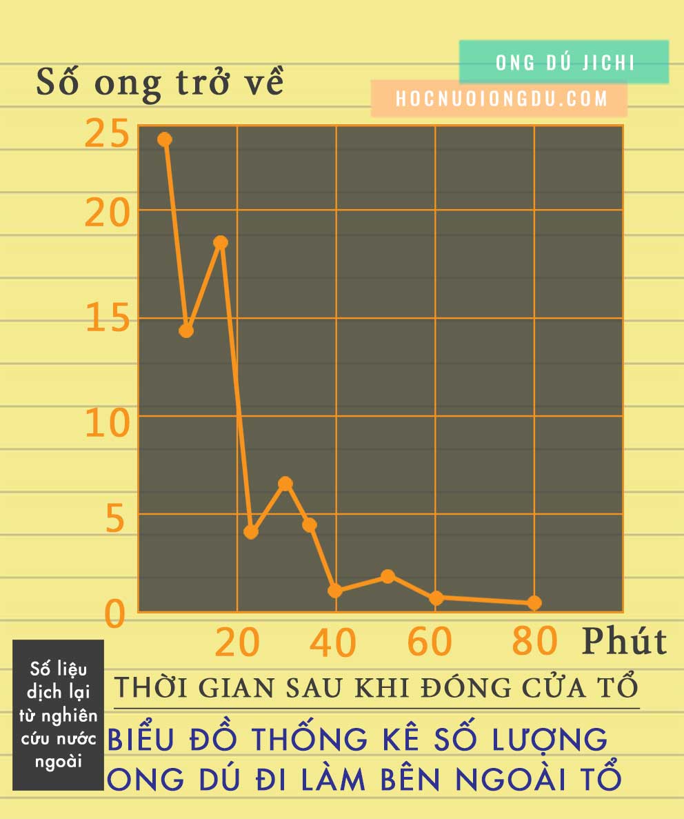 Số ong dú lấy mật ong, phấn hoa ngoài tổ tập tính kiếm ăn của ong dú