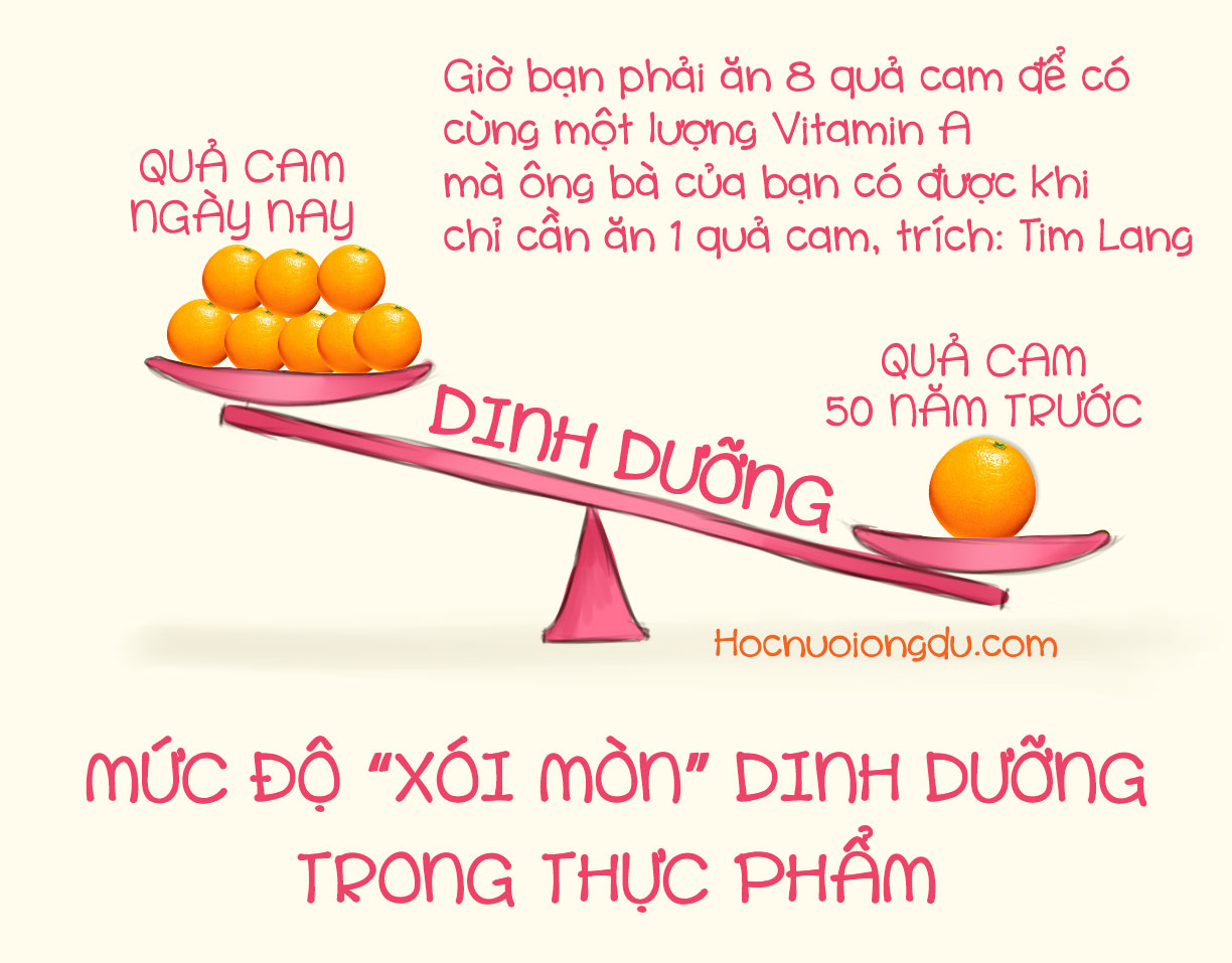 so sánh giá trị dinh dưỡng của các loại trái cây