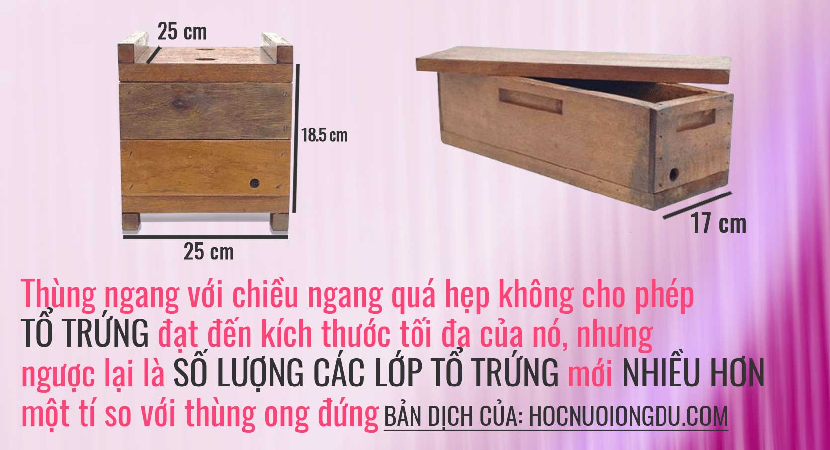 So sánh thùng ong ngang truyền thống với thùng ong đứng