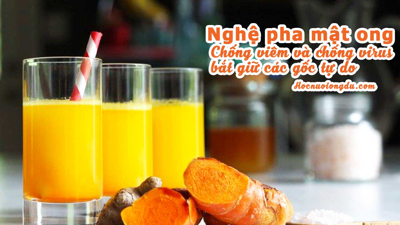 tác dụng của nghệ và mật ong chống virus và kháng khuẩn