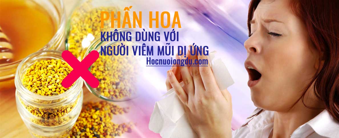 Tác hại của phấn hoa với bệnh viêm mũi dị ứng và hen suyễn