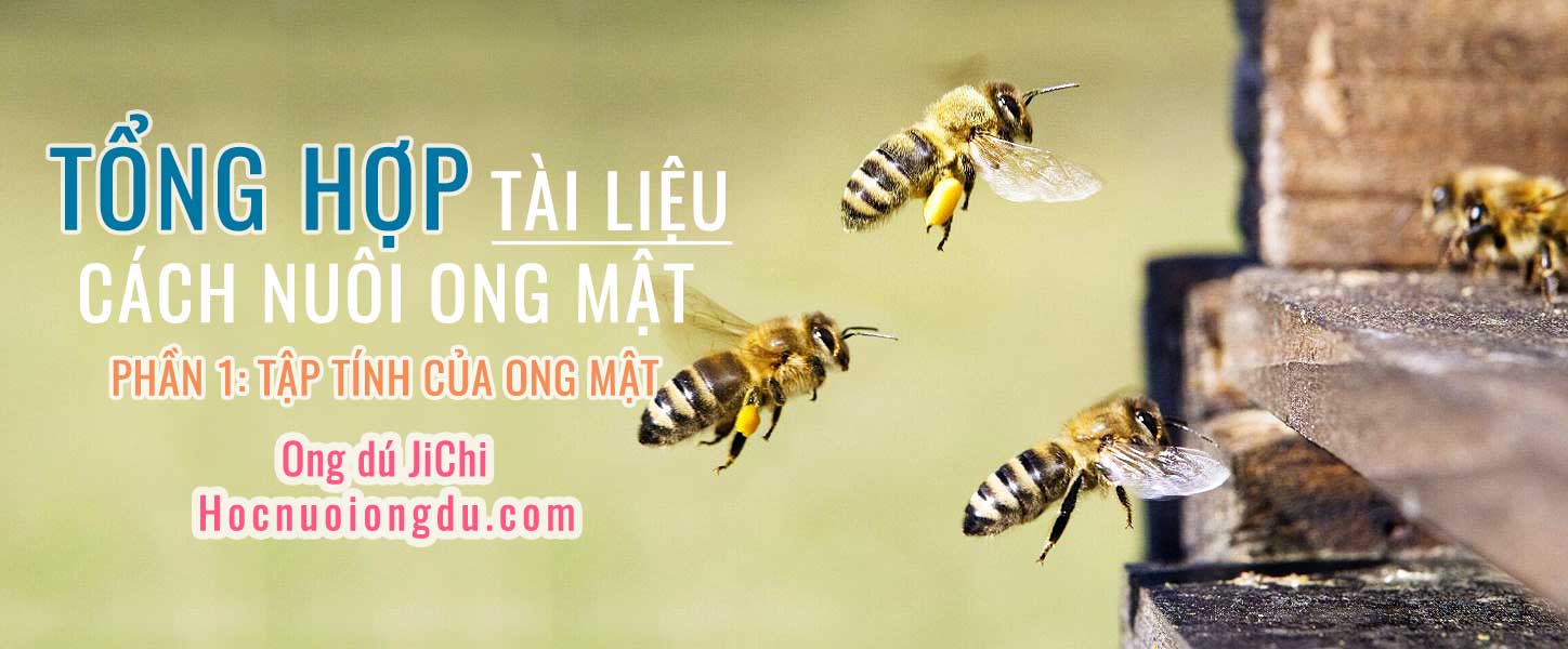 đặc điểm của ong mật, tài liệu nuôi ong mật