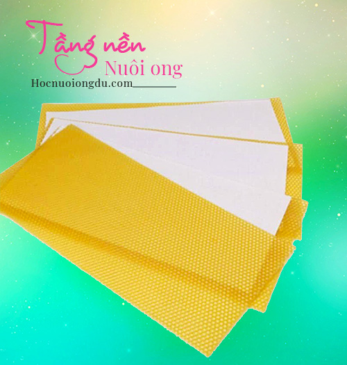 Tầng nền nuôi ong mật, Beeswax Foundation