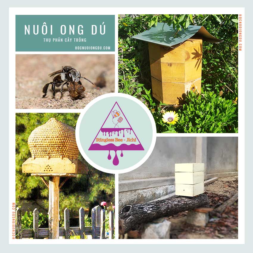 Tập tính của ong để thụ phấn trong nhà kính