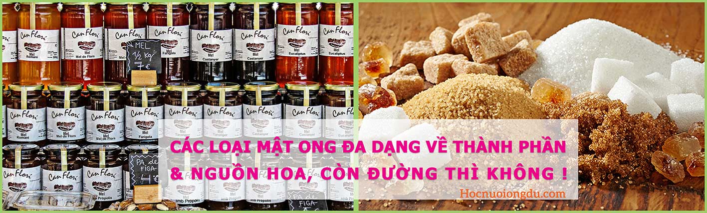 Tại sao mật ong tốt hơn đường, do thành phần mật ong đa dạng hơn