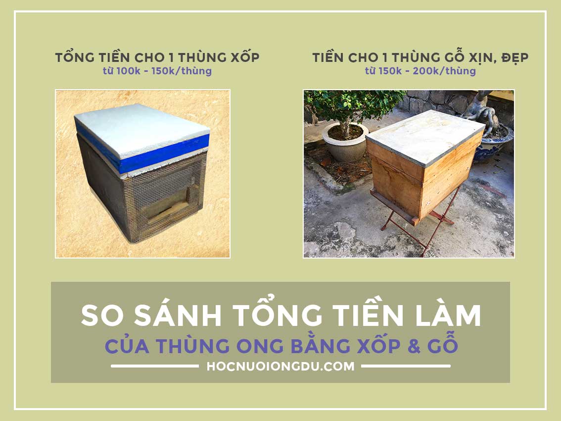 Thùng nuôi ong bằng nhựa và thùng ong bằng xốp