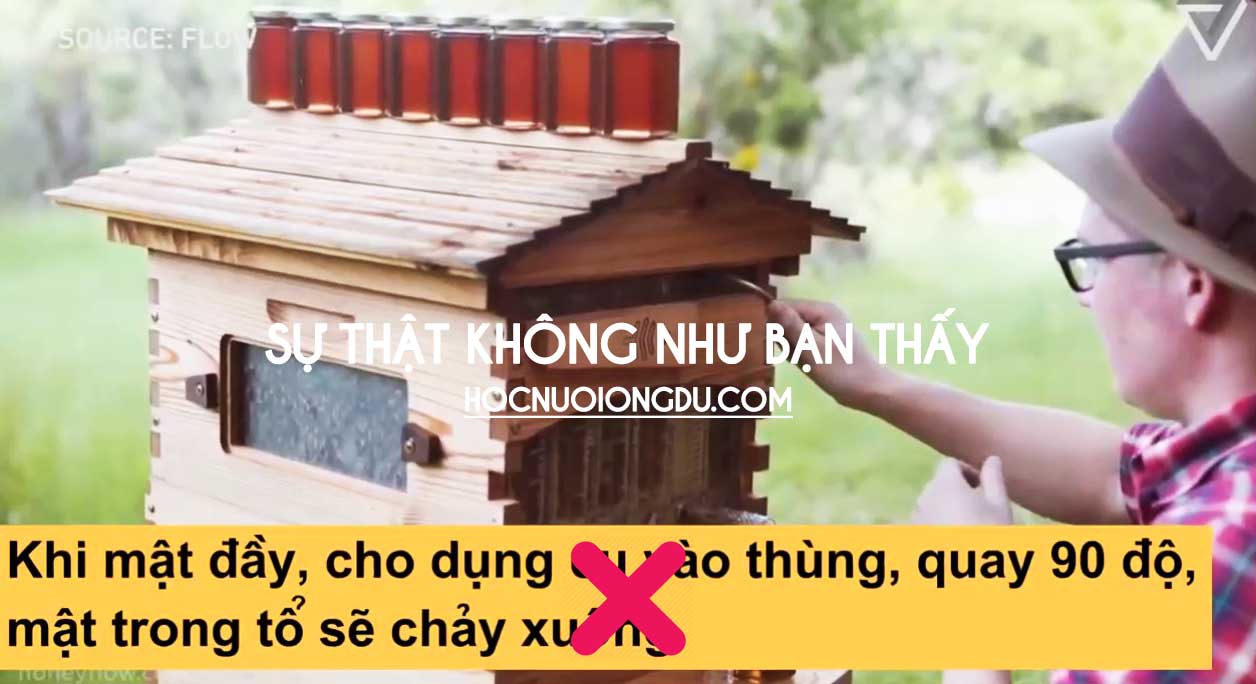 Thùng nuôi ong truyền thống mang lại hiệu quả cao