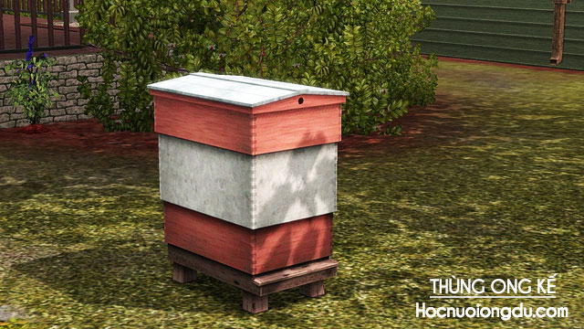 Thùng ong kế kỹ thuật nuôi ong lấy mật đạt hiệu quả cao