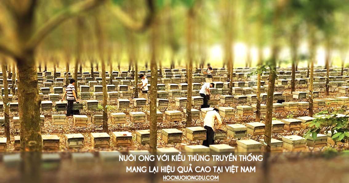 Thùng nuôi ong thông minh vật tư ngành ong mật