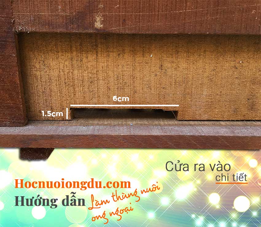 Thùng ong ý mini và kích thước cửa ra vào