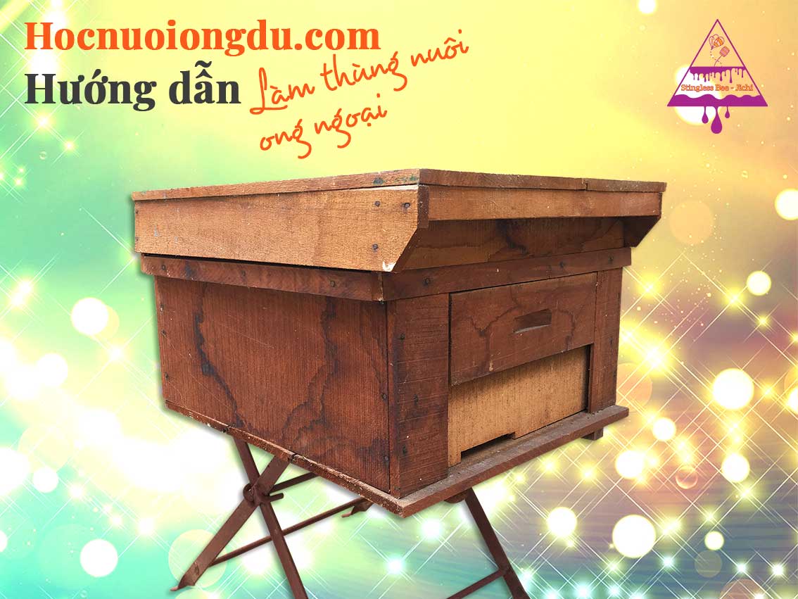 Mẫu thùng ong ý tiêu chuẩn và giá thùng nuôi ong ngoại