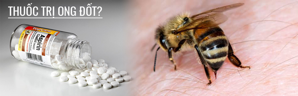 thuốc trị ong đốt