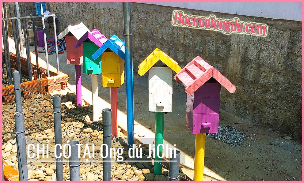 Nuôi ong tạo phong thủy và trại nuôi ong dú