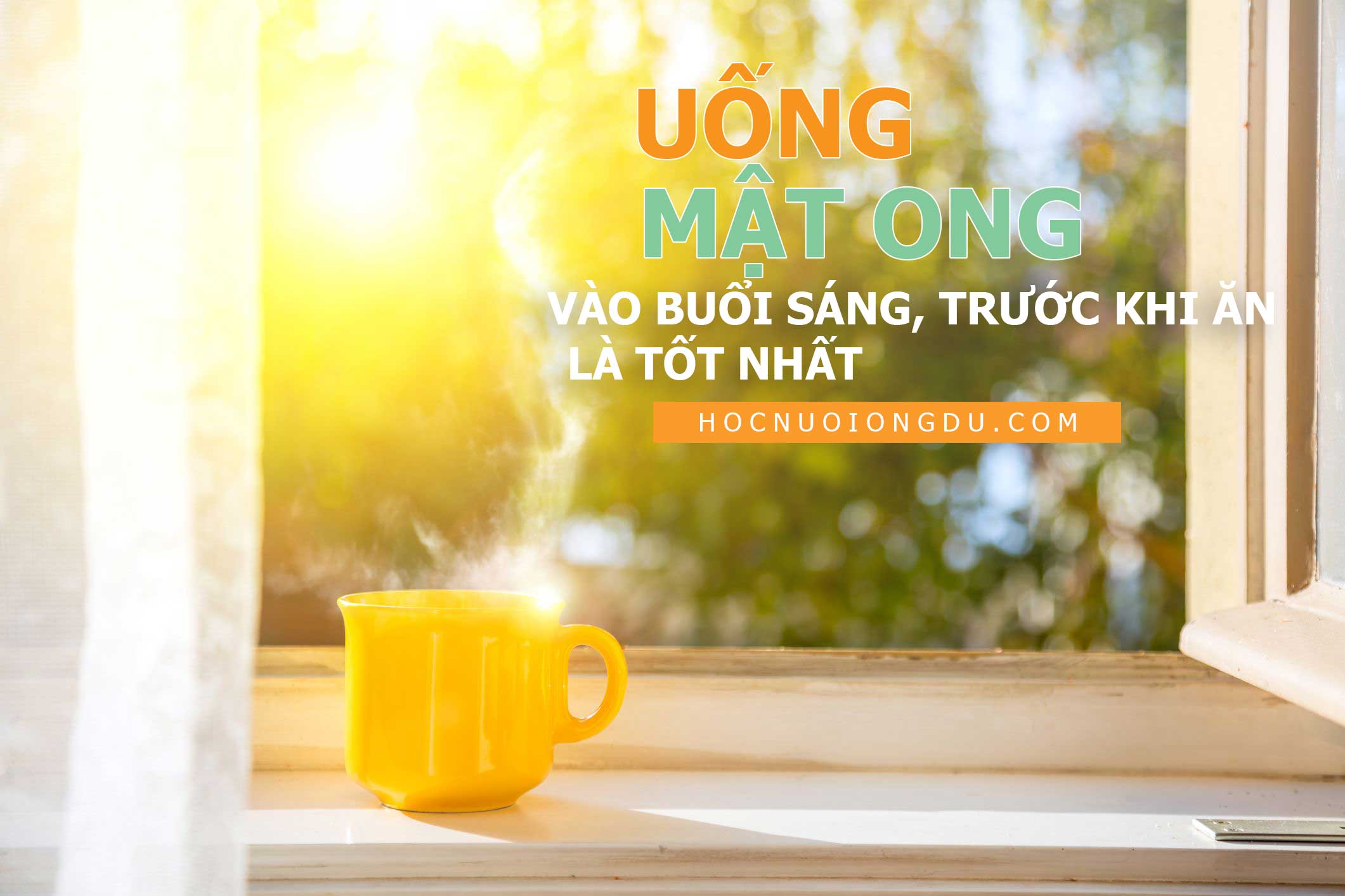 uống mật ong vào lúc nào tốt nhất