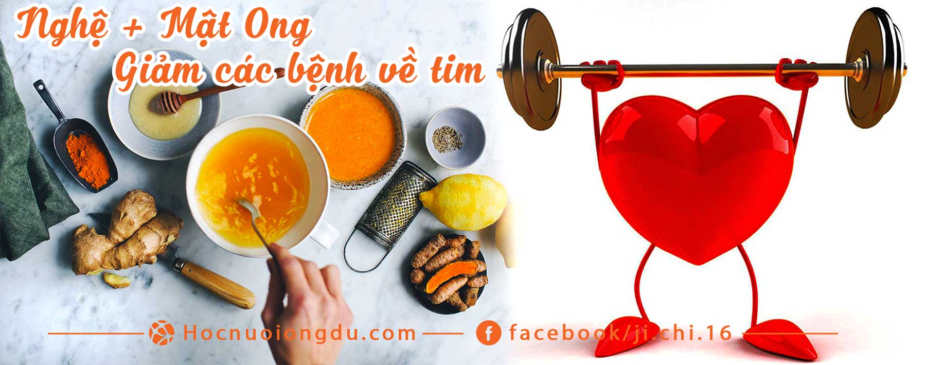 uống tinh bột nghệ với mật ong có tác dụng tốt cho tim