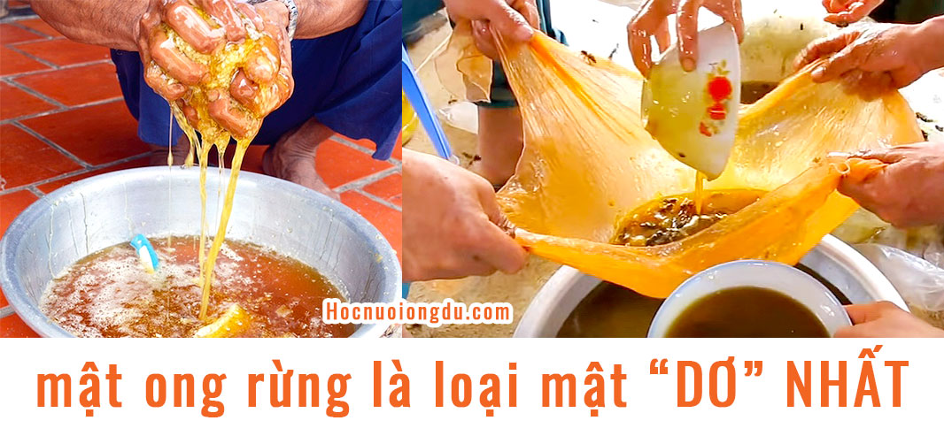 vắt mật ong rừng bằng tay dễ làm mật ong bị chua