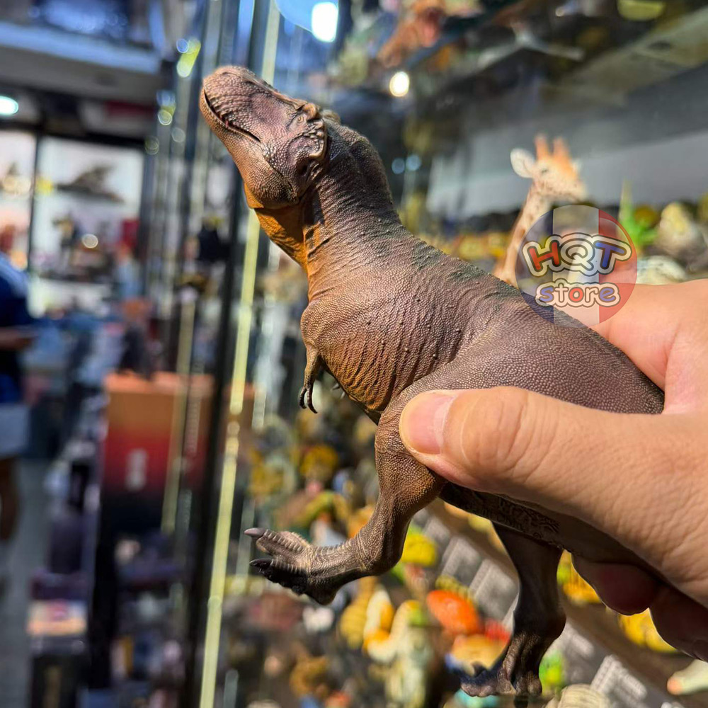 Mô hình Khủng Long Tyrannosaurus Rex Haolonggood T-Rex 1/35
