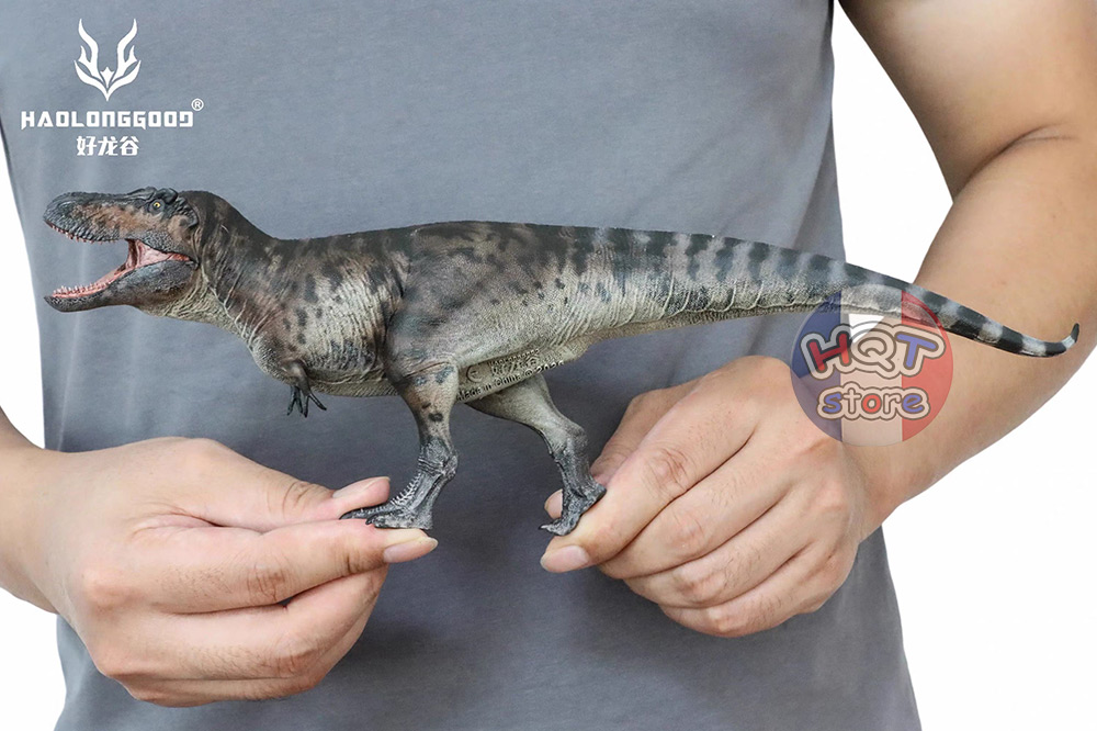 Mô hình Khủng Long Tyrannosaurus Rex Haolonggood T-Rex 1/35